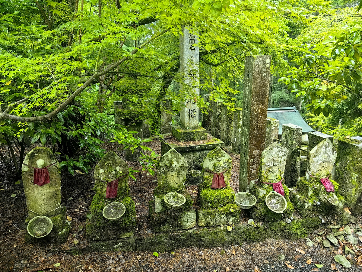 第四十四番  菅生山 大寶寺